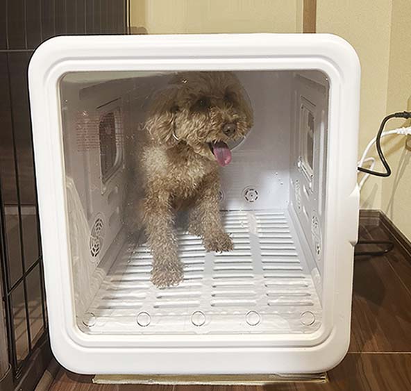 ワンちゃん専用ドライルームで乾燥もらくらく！