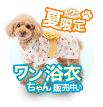 夏限定ワンちゃん浴衣販売中