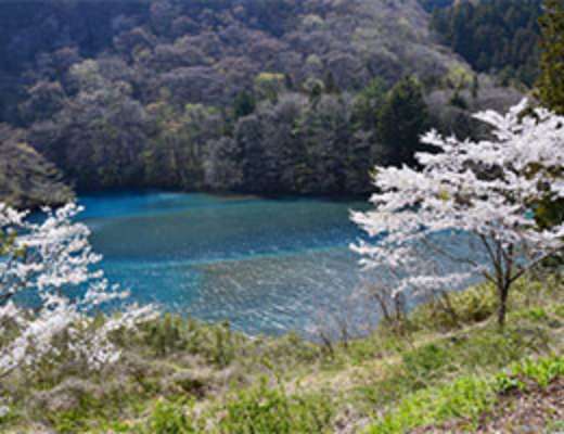 四万湖の画像