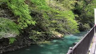 新緑の四万温泉