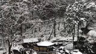 12月29日 雪景色